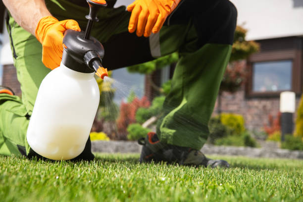 Best Flea Control Services  in Oakland, OR