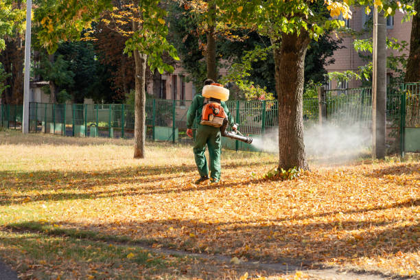 Best Affordable Pest Control Services  in Oakland, OR