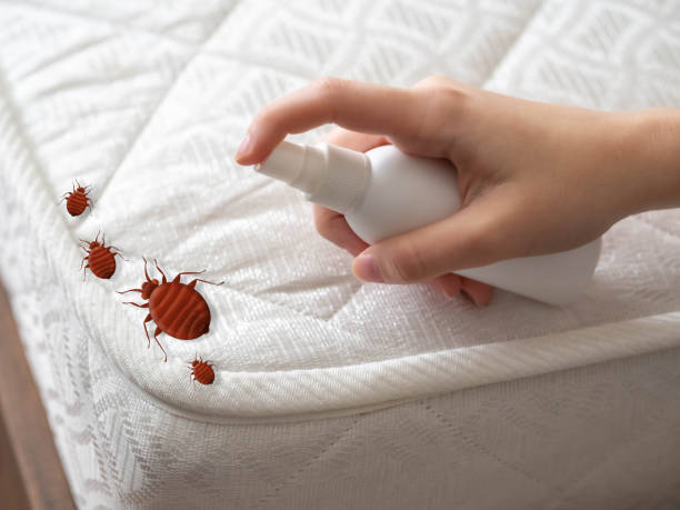 Best Affordable Pest Control Services  in Oakland, OR