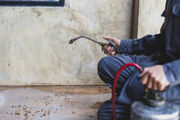 Pest Prevention Services in Oakland, OR